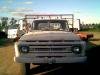 My_bee_truck7.jpg