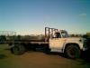 My_bee_truck3.jpg