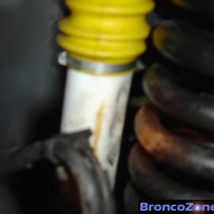 EB Bronco PICS