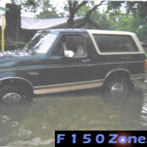 Bronc in the flood