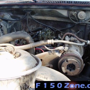 Red Wasp Nest Under Hood