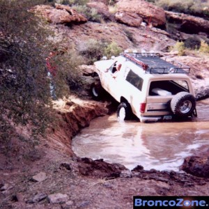 Still in the puddle