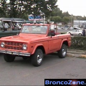 Orange 74