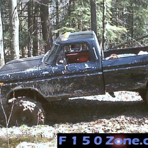 In The Woods