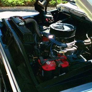 Pumped 460ci