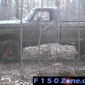 In the woods