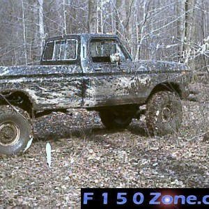 In the woods