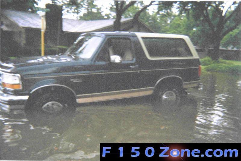 Bronc in the flood