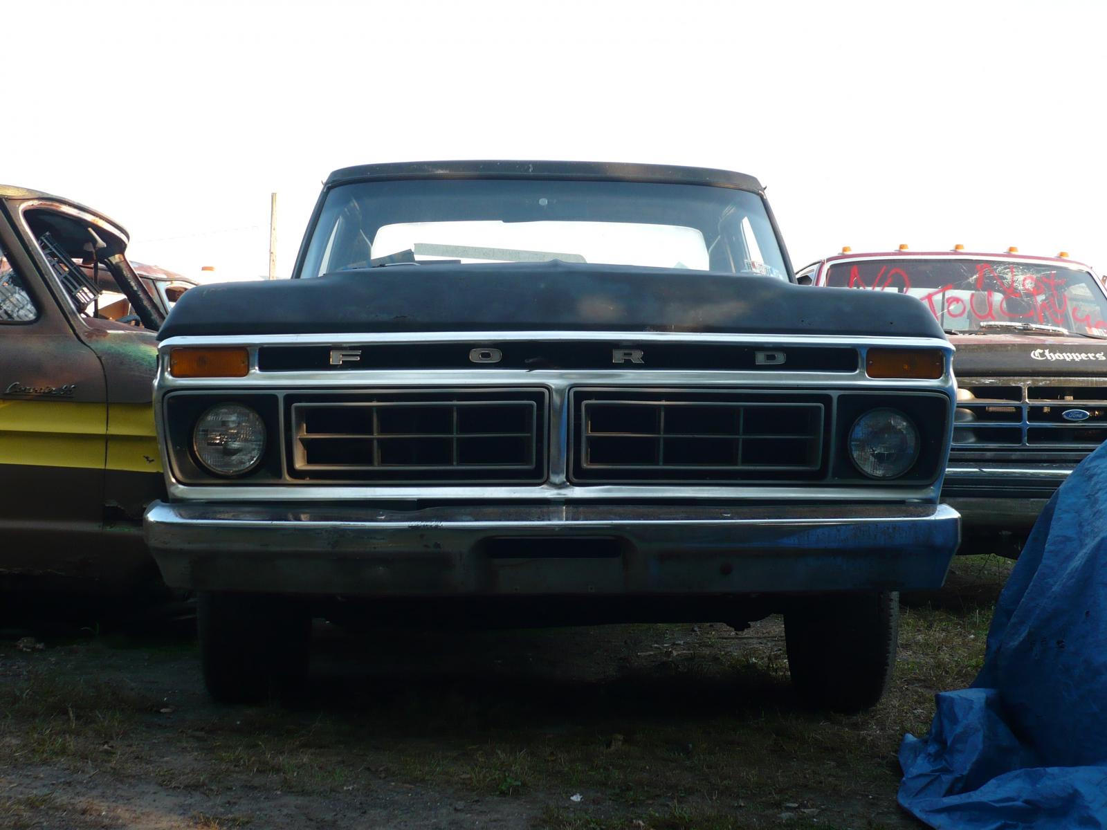 P1000011.JPG