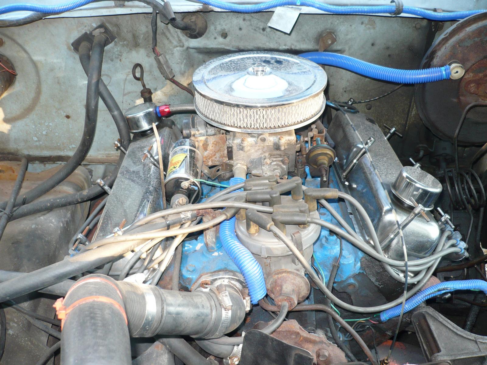 P1000017.JPG
