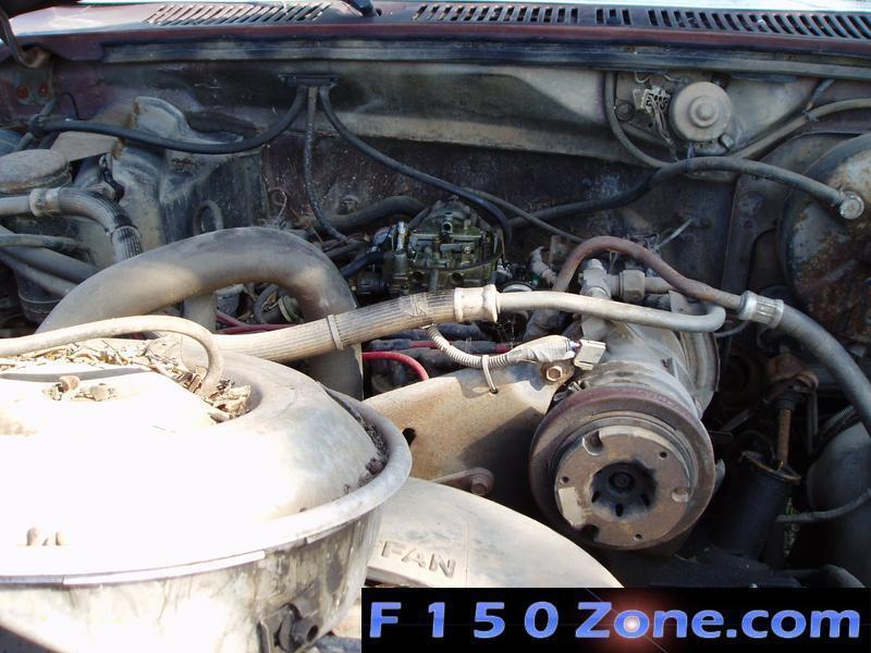 Red Wasp Nest Under Hood