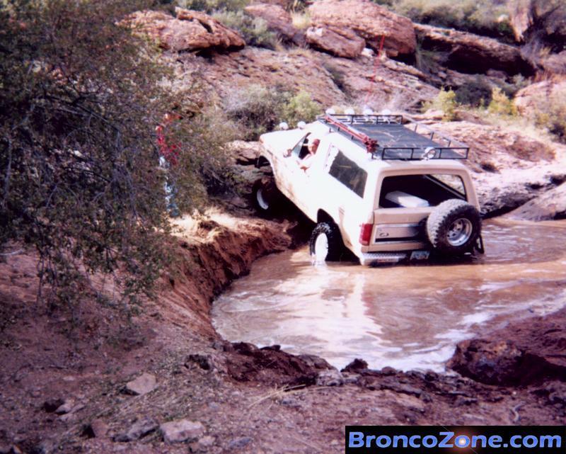 Still in the puddle